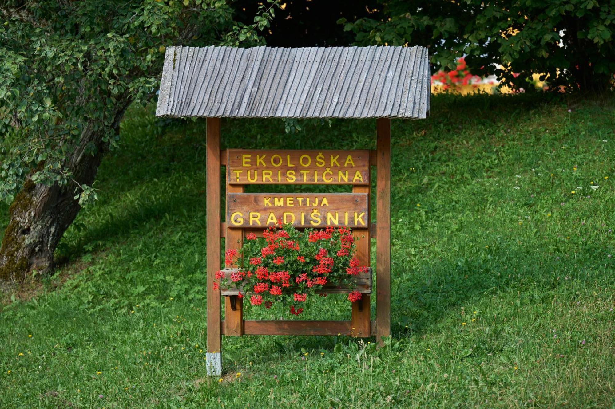 Apartments Organic Tourist Farm Gradisnik Prevalje Esterno foto